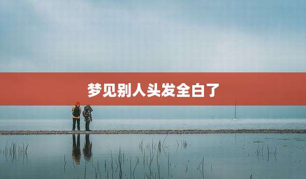 梦见别人头发全白了