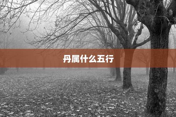 丹属什么五行