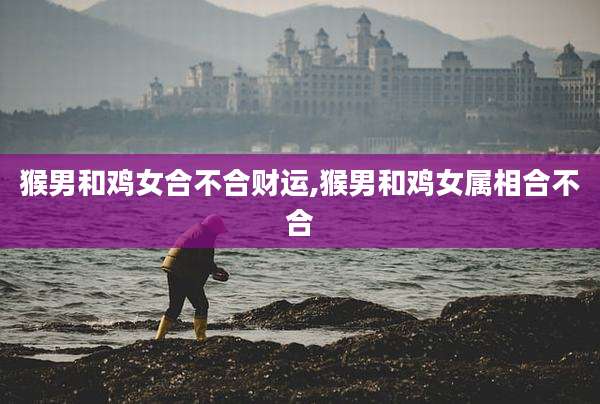 猴男和鸡女合不合财运,猴男和鸡女属相合不合