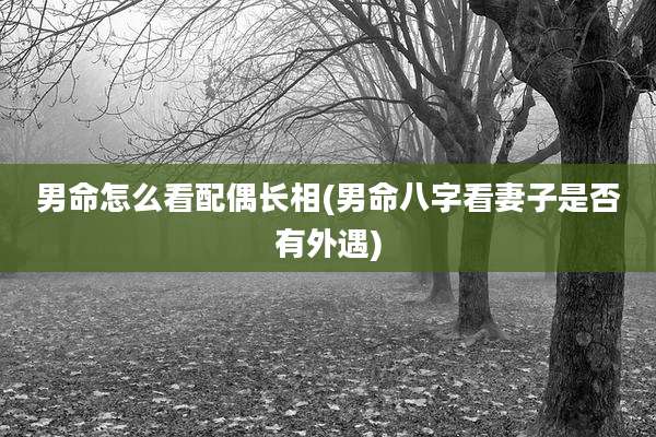 男命怎么看配偶长相(男命八字看妻子是否有外遇)