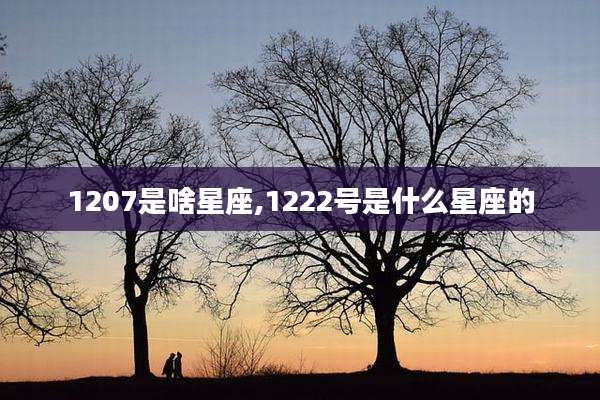 1207是啥星座,1222号是什么星座的