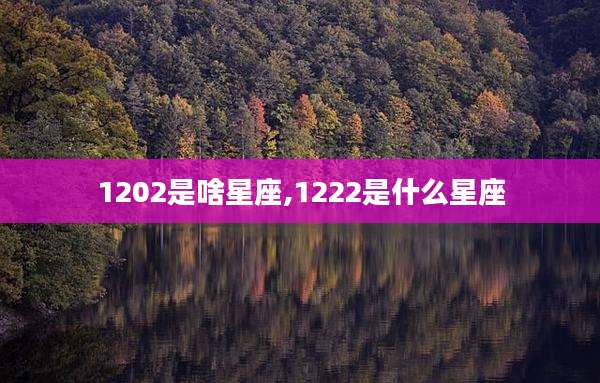 1202是啥星座,1222是什么星座