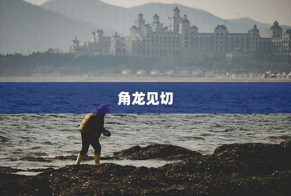 角龙见切