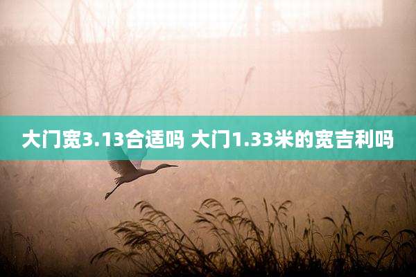 大门宽3.13合适吗 大门1.33米的宽吉利吗