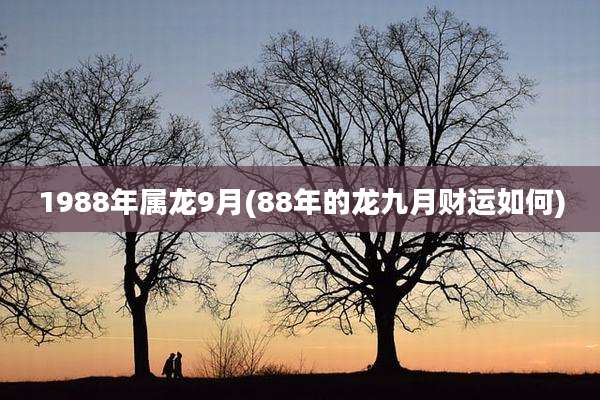 1988年属龙9月(88年的龙九月财运如何)