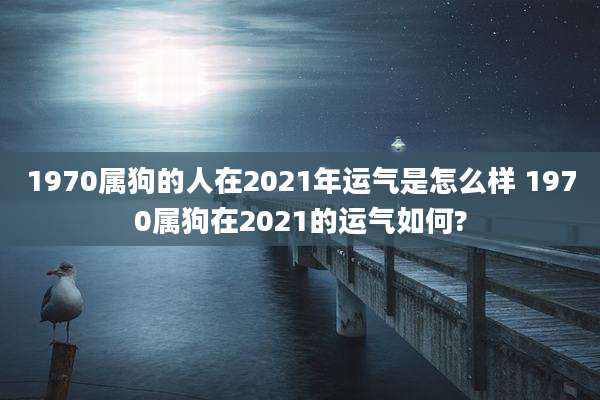 1970属狗的人在2021年运气是怎么样 1970属狗在2021的运气如何?