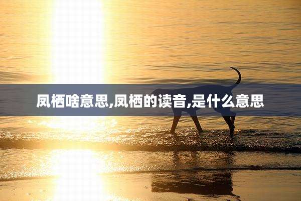 凤栖啥意思,凤栖的读音,是什么意思