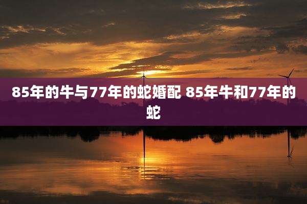 85年的牛与77年的蛇婚配 85年牛和77年的蛇