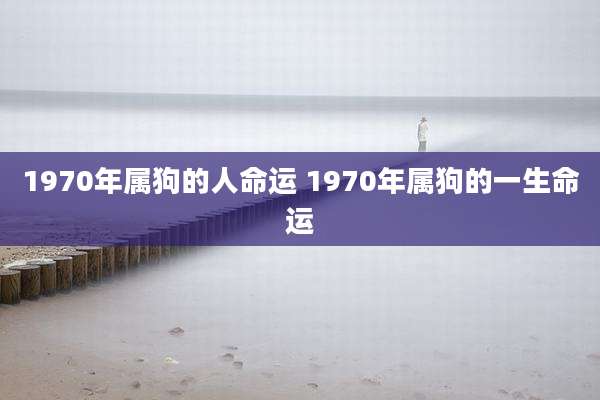 1970年属狗的人命运 1970年属狗的一生命运
