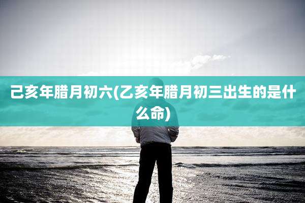 己亥年腊月初六(乙亥年腊月初三出生的是什么命)