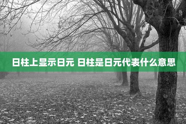 日柱上显示日元 日柱是日元代表什么意思