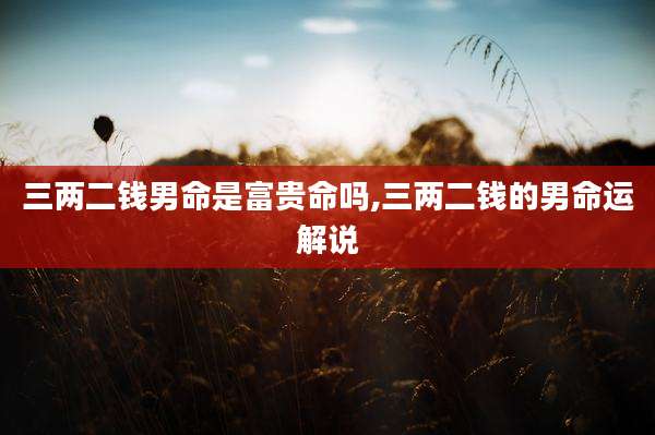 三两二钱男命是富贵命吗,三两二钱的男命运解说