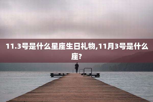 11.3号是什么星座生日礼物,11月3号是什么座?