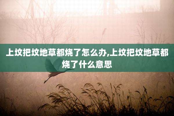 上坟把坟地草都烧了怎么办,上坟把坟地草都烧了什么意思