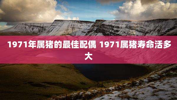 1971年属猪的最佳配偶 1971属猪寿命活多大