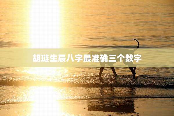 胡琏生辰八字最准确三个数字