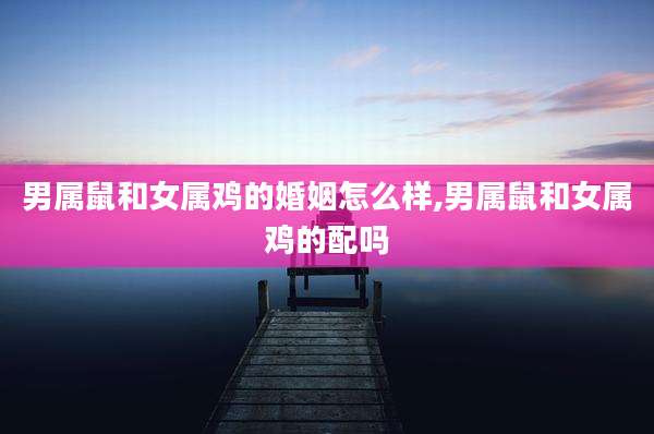 男属鼠和女属鸡的婚姻怎么样,男属鼠和女属鸡的配吗