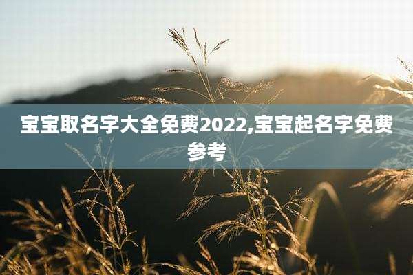 宝宝取名字大全免费2022,宝宝起名字免费参考