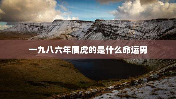 一九八六年属虎的是什么命运男