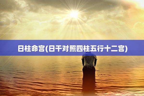 日柱命宫(日干对照四柱五行十二宫)