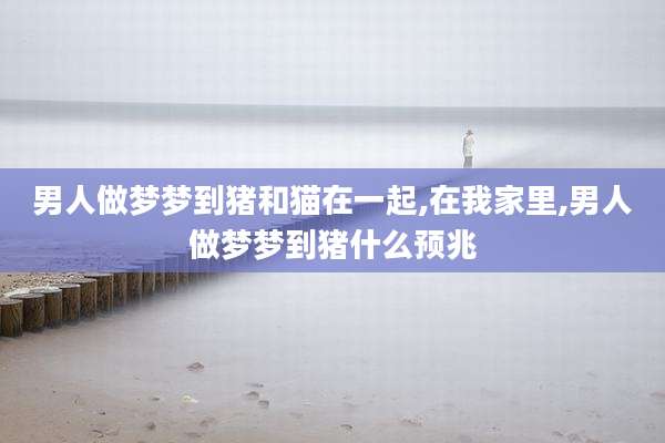 男人做梦梦到猪和猫在一起,在我家里,男人做梦梦到猪什么预兆
