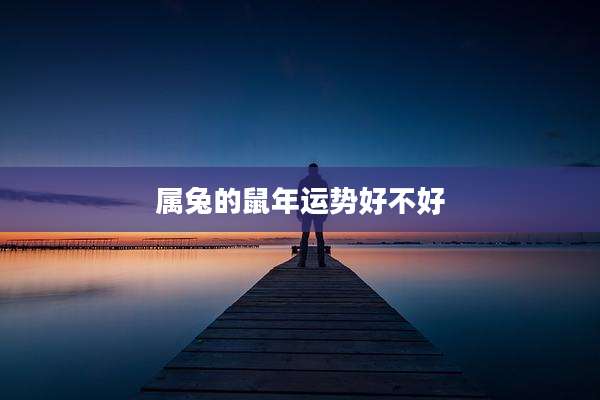 属兔的鼠年运势好不好