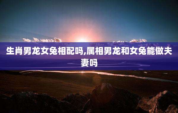 生肖男龙女兔相配吗,属相男龙和女兔能做夫妻吗