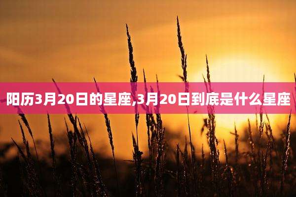 阳历3月20日的星座,3月20日到底是什么星座