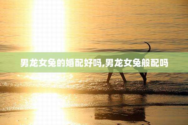 男龙女兔的婚配好吗,男龙女兔般配吗