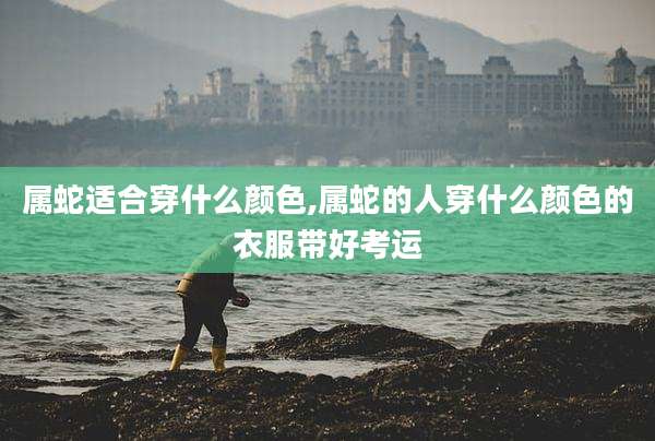 属蛇适合穿什么颜色,属蛇的人穿什么颜色的衣服带好考运