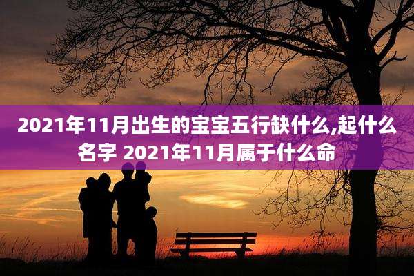 2021年11月出生的宝宝五行缺什么,起什么名字 2021年11月属于什么命