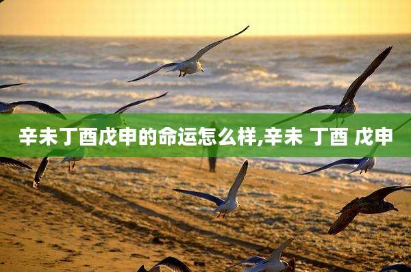 辛未丁酉戊申的命运怎么样,辛未 丁酉 戊申