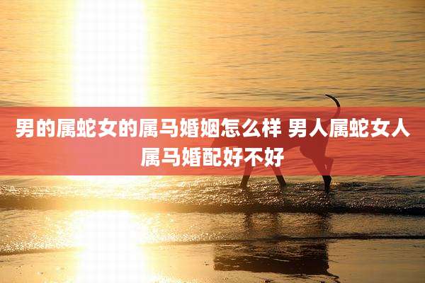 男的属蛇女的属马婚姻怎么样 男人属蛇女人属马婚配好不好