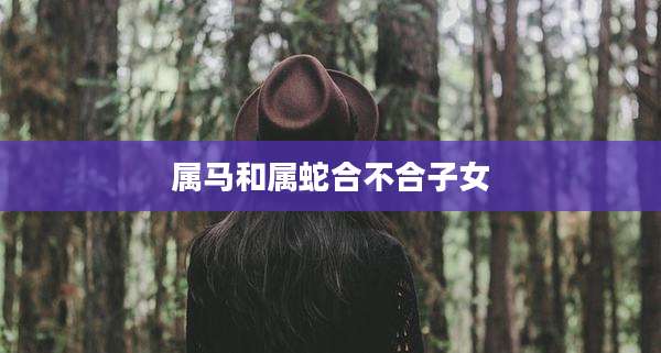 属马和属蛇合不合子女