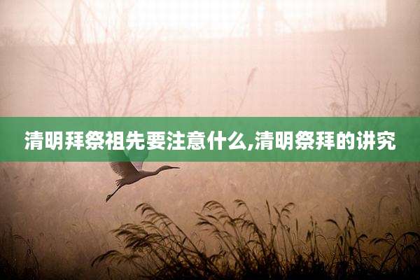 清明拜祭祖先要注意什么,清明祭拜的讲究