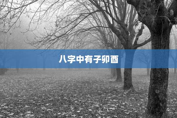 八字中有子卯酉
