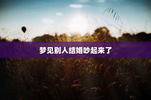 梦见别人结婚吵起来了