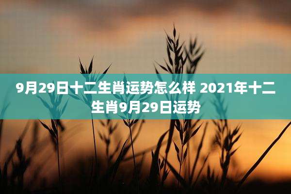 9月29日十二生肖运势怎么样 2021年十二生肖9月29日运势