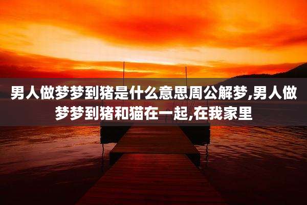男人做梦梦到猪是什么意思周公解梦,男人做梦梦到猪和猫在一起,在我家里