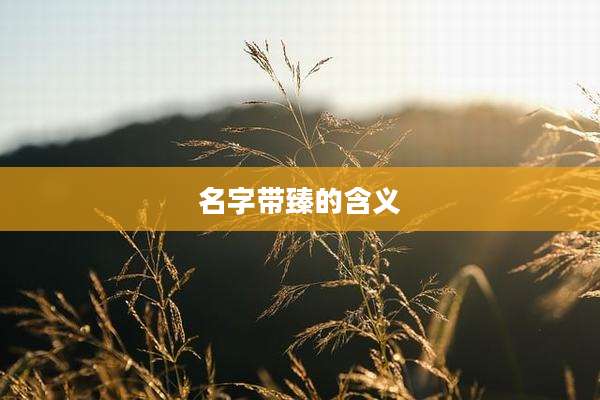 名字带臻的含义