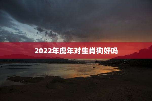 2022年虎年对生肖狗好吗