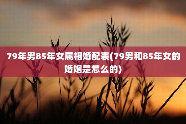 79年男85年女属相婚配表(79男和85年女的婚姻是怎么的)