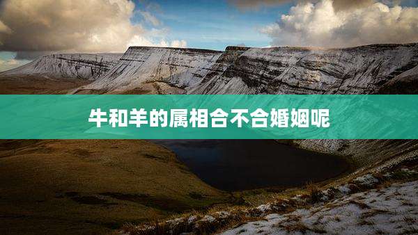 牛和羊的属相合不合婚姻呢
