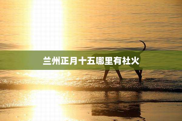 兰州正月十五哪里有社火