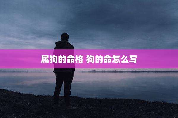 属狗的命格 狗的命怎么写