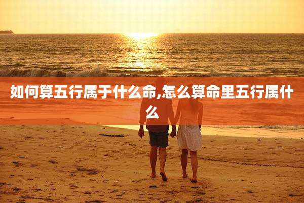 如何算五行属于什么命,怎么算命里五行属什么