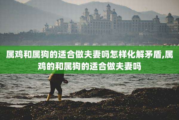 属鸡和属狗的适合做夫妻吗怎样化解矛盾,属鸡的和属狗的适合做夫妻吗