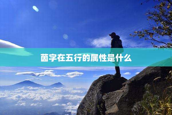 茵字在五行的属性是什么