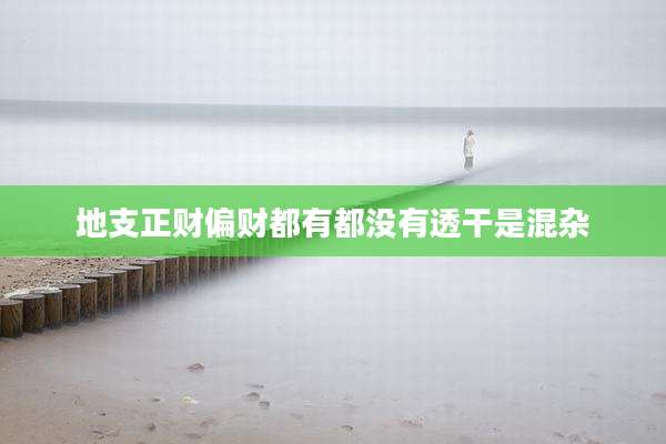 地支正财偏财都有都没有透干是混杂