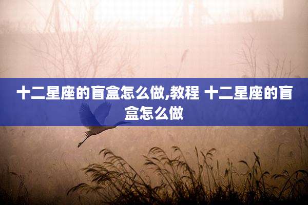 十二星座的盲盒怎么做,教程 十二星座的盲盒怎么做